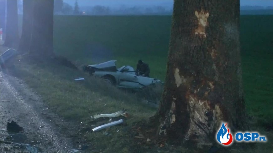 Auto rozpadło się na pół po zderzeniu z drzewem. Dwie osoby zginęły. OSP Ochotnicza Straż Pożarna