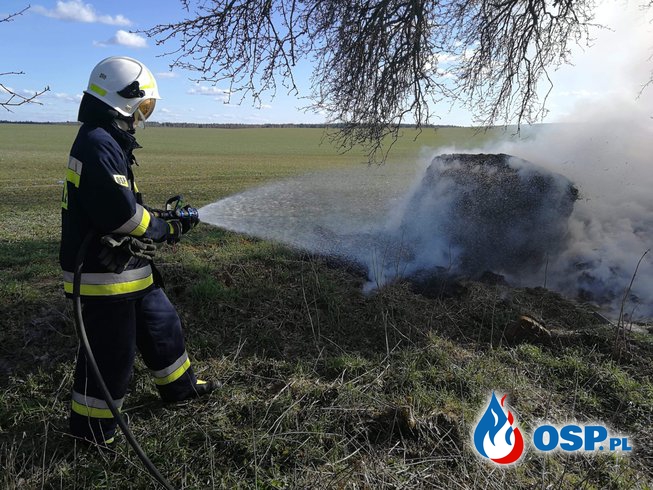 Pożar i wypadek na DK 31 OSP Ochotnicza Straż Pożarna