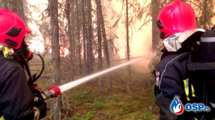 Najnowszy raport ze Szwecji. Polscy strażacy obronili wioskę, mieszkańcy wracają do domów! OSP Ochotnicza Straż Pożarna