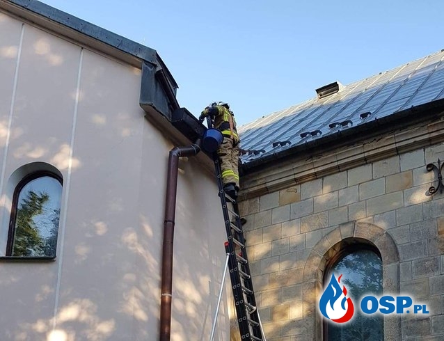 Udrażnianie spustów rynnowych na kościele - 1 czerwca 2020r. OSP Ochotnicza Straż Pożarna