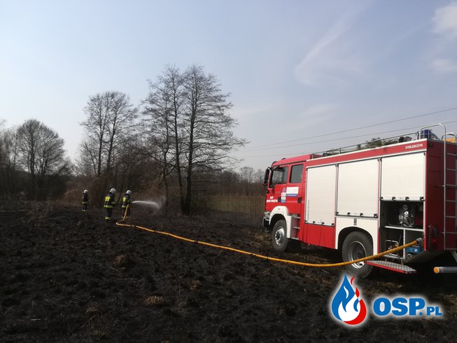 Pożar trawy Sochocin OSP Ochotnicza Straż Pożarna