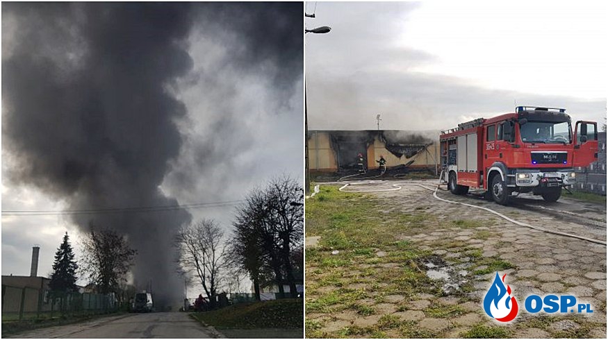 Pracownik zakładu zginął w pożarze, cztery osoby są ranne. Hala produkcyjna doszczętnie spłonęła. OSP Ochotnicza Straż Pożarna