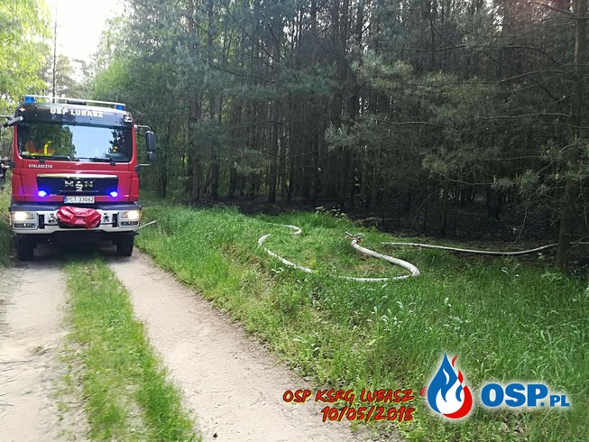 Pożar Lasu OSP Ochotnicza Straż Pożarna