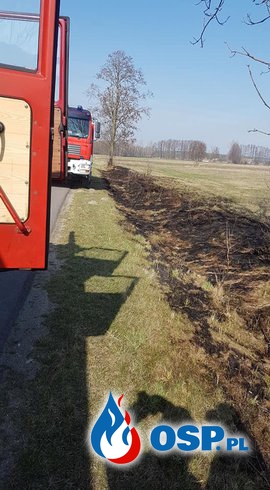 Pożar trawy w rowie przy drodze OSP Ochotnicza Straż Pożarna