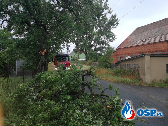 Zalany dom, zalana piwnica oraz powalone drzewo OSP Ochotnicza Straż Pożarna
