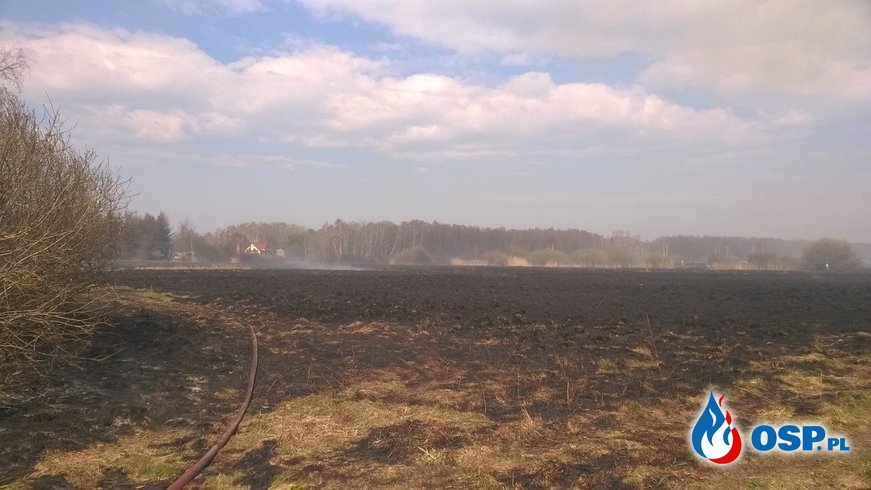 2019-04-05 godz. 13:00 kilkadziesiąt hektarów ognia OSP Ochotnicza Straż Pożarna