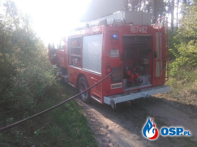 Pożar nasypu kolejowego OSP Ochotnicza Straż Pożarna