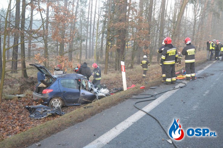 Groźny wypadek pod Opolem. Ciężarna kobieta trafiła do szpitala. OSP Ochotnicza Straż Pożarna