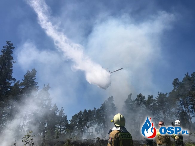 104/2020 Pożar lasu w Strzelczynie - samoloty w akcji OSP Ochotnicza Straż Pożarna
