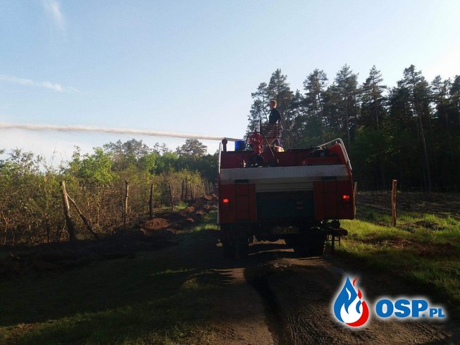 Pożar lasu pomiędzy  Starymi Łysogórkami a Moryniem OSP Ochotnicza Straż Pożarna