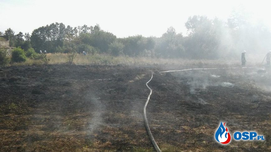 Pożar torfowiska obok rzeki Brynica. (28.08.2015) OSP Ochotnicza Straż Pożarna