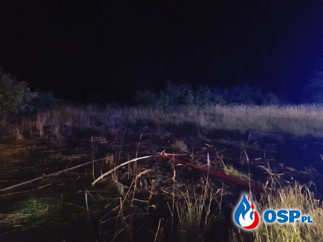 Pożar traw na ul. Lipowej OSP Ochotnicza Straż Pożarna