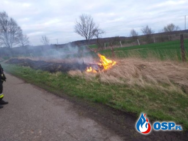 2019-03-29 godz.17:50 trawa na poboczu drogi OSP Ochotnicza Straż Pożarna