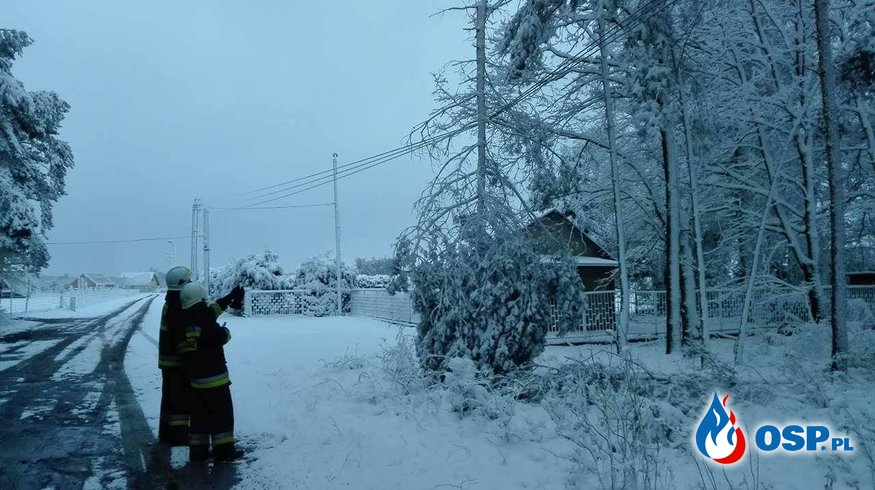 Powrót zimy, brak prądu i utrudnienia na drogach. OSP Ochotnicza Straż Pożarna