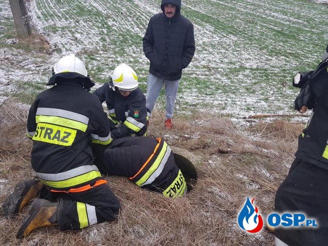 Strażacy uratowali psa, który utknął w studzience OSP Ochotnicza Straż Pożarna