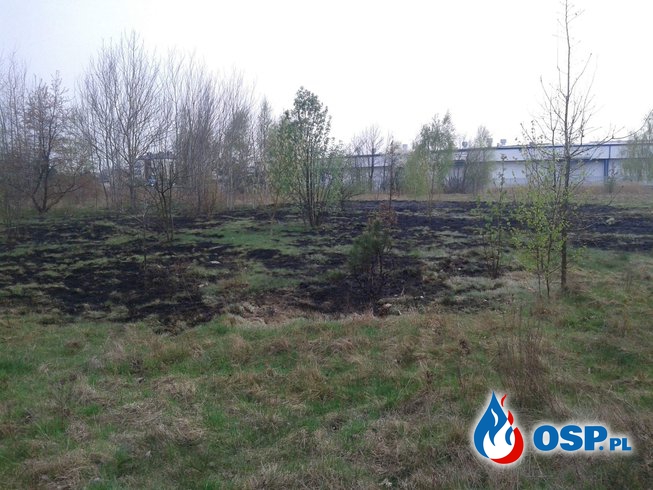 Zabezpieczenie operacyjne, pożar suchych traw OSP Ochotnicza Straż Pożarna
