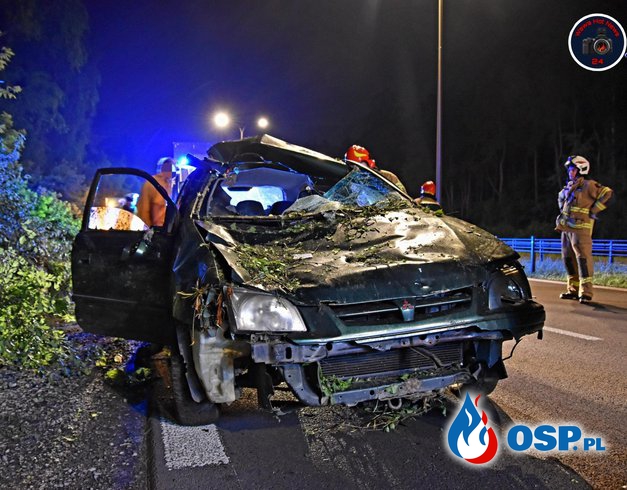 Dwoje dzieci rannych po zderzeniu auta z łosiem. Groźny wypadek w Warszawie. OSP Ochotnicza Straż Pożarna