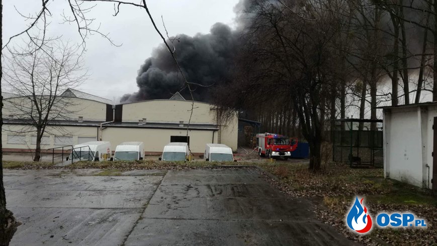 Pożar hali magazynowej przy ulicy Wrocławskiej w Radomiu OSP Ochotnicza Straż Pożarna