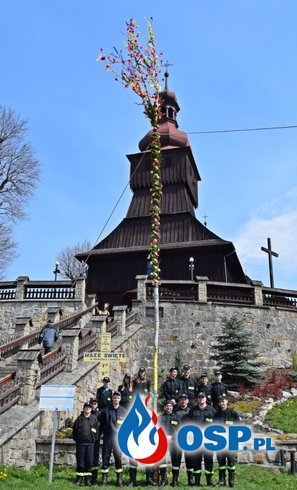 Strażacka palma to tradycja w Łodygowicach. Tegoroczna ma aż 13 metrów! OSP Ochotnicza Straż Pożarna
