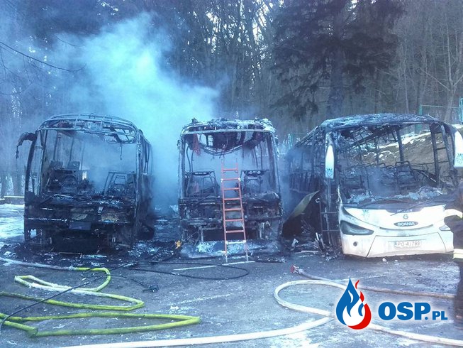 Trzy autokary doszczętnie spłonęły w nocy w Lądku Zdroju! OSP Ochotnicza Straż Pożarna