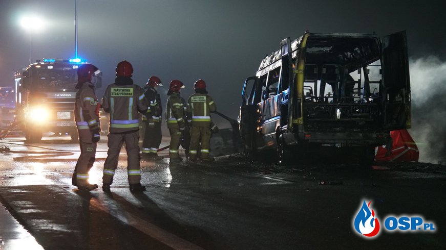 Czołowy wypadek busa z nastolatkami i samochodu osobowego. Jedna osoba spłonęła. OSP Ochotnicza Straż Pożarna