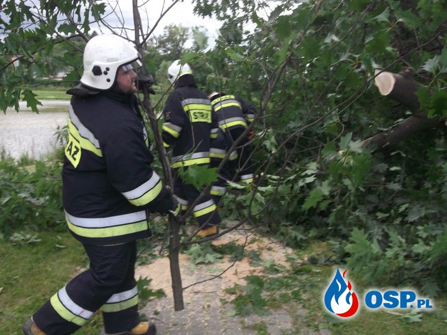 Kolejny alarm w jednostce-powalone drzewo OSP Ochotnicza Straż Pożarna