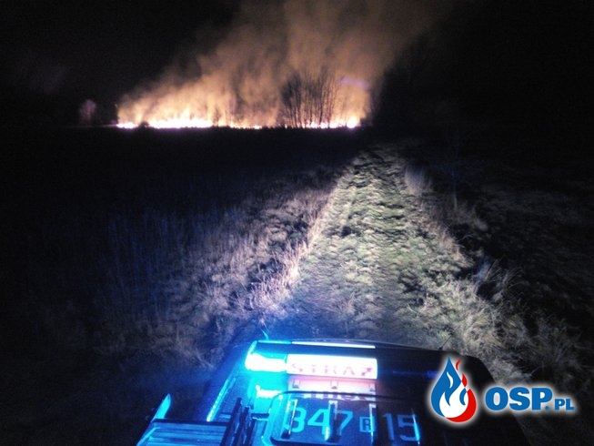 Pożar suchych traw w Bóbrce przy ul. Podkarpackiej OSP Ochotnicza Straż Pożarna