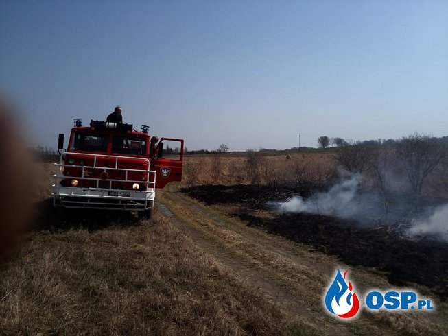 Pożar suchych traw. OSP Ochotnicza Straż Pożarna