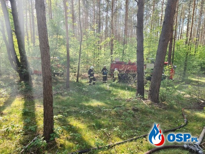 87/2020 Pożar lasu w okolicy Granicznej OSP Ochotnicza Straż Pożarna