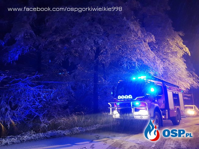 Odłamany konar spadł na jezdnię OSP Ochotnicza Straż Pożarna