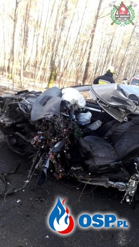 Auto roztrzaskało się na drzewie, kierowca zginął. Tragiczny wypadek pod Stargardem. OSP Ochotnicza Straż Pożarna