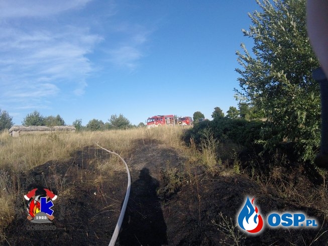 Pożar trawy i drzew na poligonie w Górkach OSP Ochotnicza Straż Pożarna