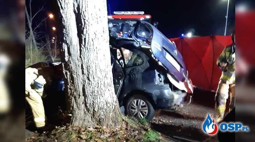 Dwie osoby zginęły w wypadku na Pomorzu. Auto uderzyło w drzewo. OSP Ochotnicza Straż Pożarna