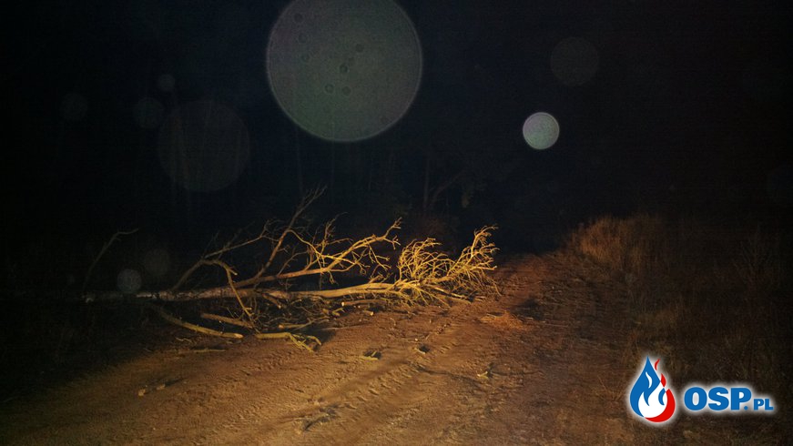 Akcja 9/2015 - Przewrócone drzewo w miejscowości Baczki OSP Ochotnicza Straż Pożarna