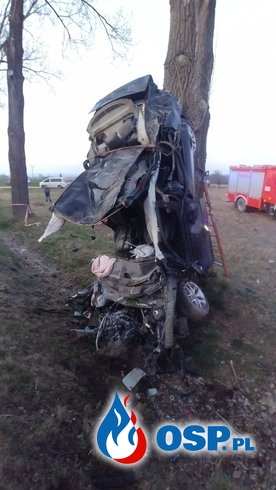 Tragiczny wypadek w Wilkanowie. Samochód zatrzymał się pionowo na drzewie. OSP Ochotnicza Straż Pożarna