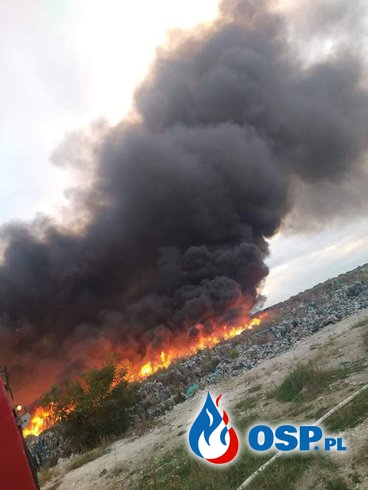 Płonie nielegalne składowisko odpadów pod Jaworem. W akcji ponad 20 zastępów strażaków. OSP Ochotnicza Straż Pożarna