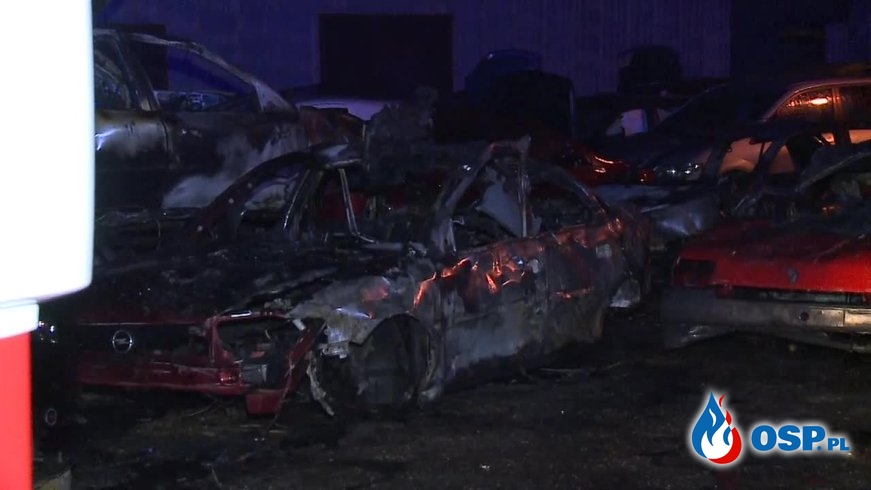 „Toksyczny dym”. Czterdzieści samochodów spłonęło na złomowisku. OSP Ochotnicza Straż Pożarna