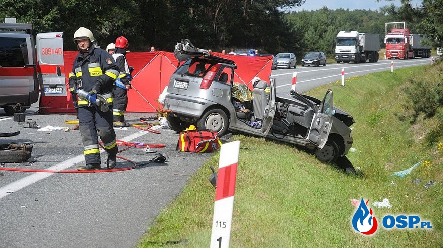 Wypadek śmiertelny pod Opolem. Punto zderzyło się czołowo z ciężarówką! OSP Ochotnicza Straż Pożarna
