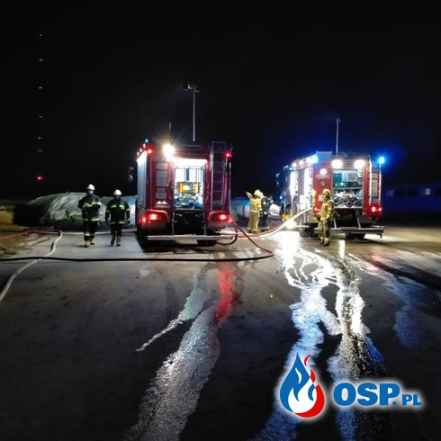 Pożar chlewni w Chotyczach. Padło ok. 300 świń. OSP Ochotnicza Straż Pożarna