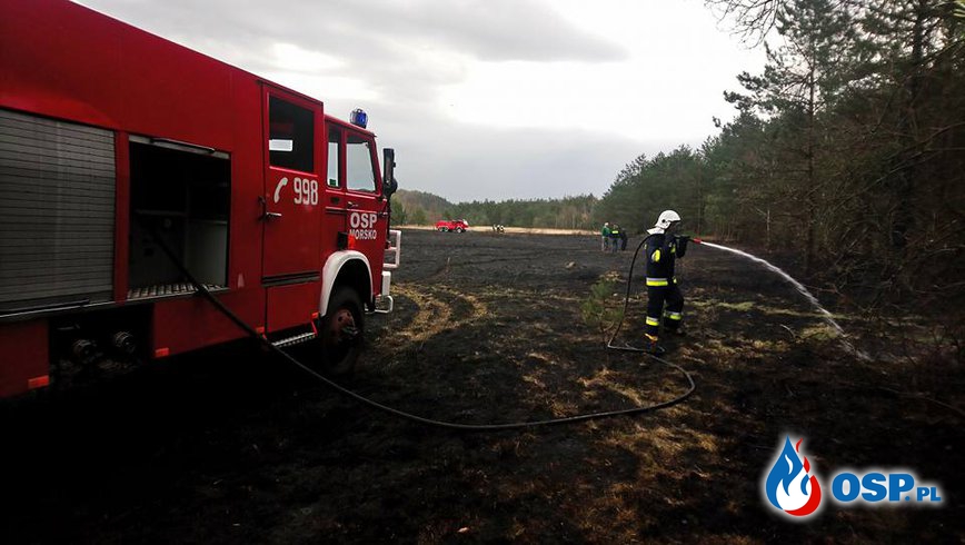 Pożar trawy Podlesicach OSP Ochotnicza Straż Pożarna
