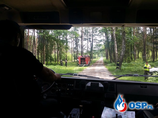 Ćwiczenia V Kompanii Gaśniczej WWO ,,PRUDNIK" w lesie w okolicy Chrzelic i Smolarni OSP Ochotnicza Straż Pożarna