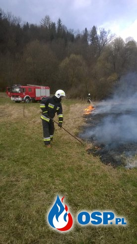Kolejny wyjazd do pożaru trawy OSP Ochotnicza Straż Pożarna