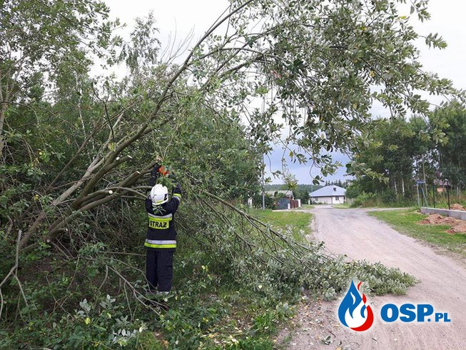 Pochylone drzewo na os.Gorajskim OSP Ochotnicza Straż Pożarna