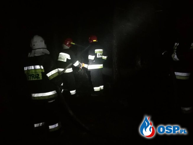 Pożar lasu, kilka gorących godzin. (11.05.2018r.) OSP Ochotnicza Straż Pożarna