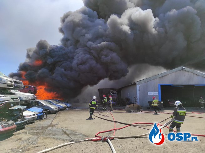 Ogromny pożar na stacji demontażu pojazdów. 12 zastępów strażaków w akcji. OSP Ochotnicza Straż Pożarna