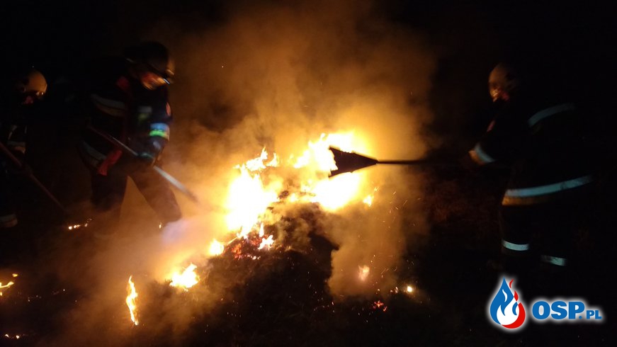Pożar traw przy ul. Karpackiej OSP Ochotnicza Straż Pożarna