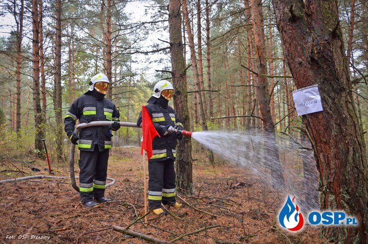 Powiatowe Ćwiczenia Zgrywające Straży Pożarnej 2016 (pow. rycki) OSP Ochotnicza Straż Pożarna