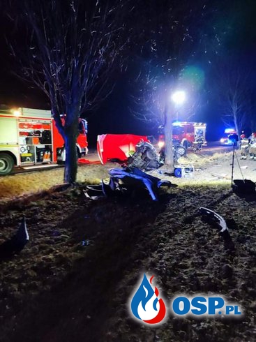 Auto roztrzaskało się na drzewie. 20-latek zginął na miejscu. OSP Ochotnicza Straż Pożarna