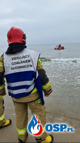 Łania nie mogła wydostać się z morza. Pomogli strażacy. OSP Ochotnicza Straż Pożarna