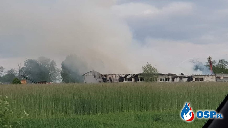 Pożar tartaku w Smulsku, w Wielkopolsce. W akcji ponad 30 zastępów. OSP Ochotnicza Straż Pożarna